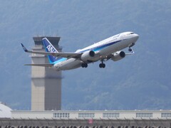ANA沖縄便