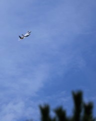 航空祭のおもひで