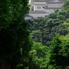 入りきるかな？