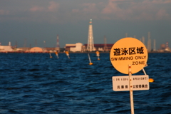 遊泳区域