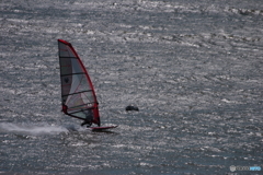 強風の中ウインドサーフィン