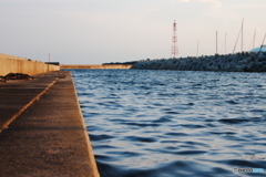 海に行ってきました。