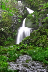 雨日の滝