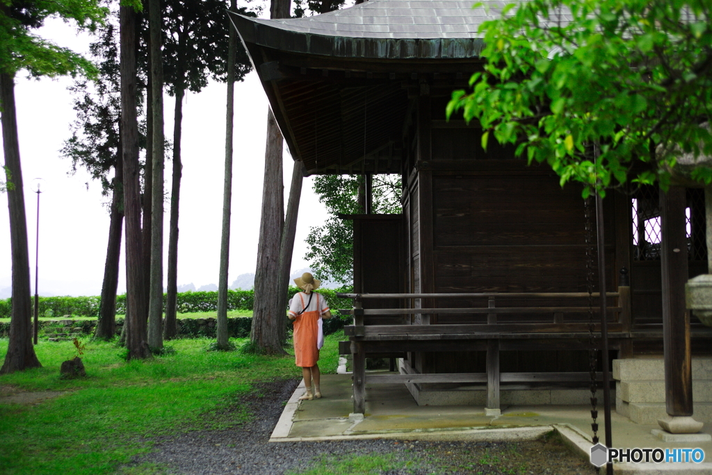 真夏の神社