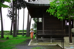 真夏の神社