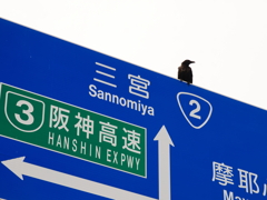 思案中