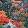 薬王院温泉寺の秋色