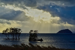 奥琵琶湖の光と影