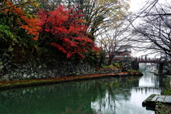 近江八幡の秋彩
