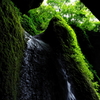 洞窟内にある珍しいシワガラの滝