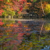 秋の長谷池