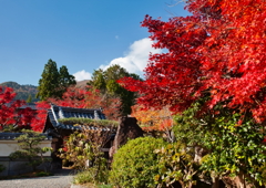 京都　正法寺の秋