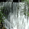 Green Water