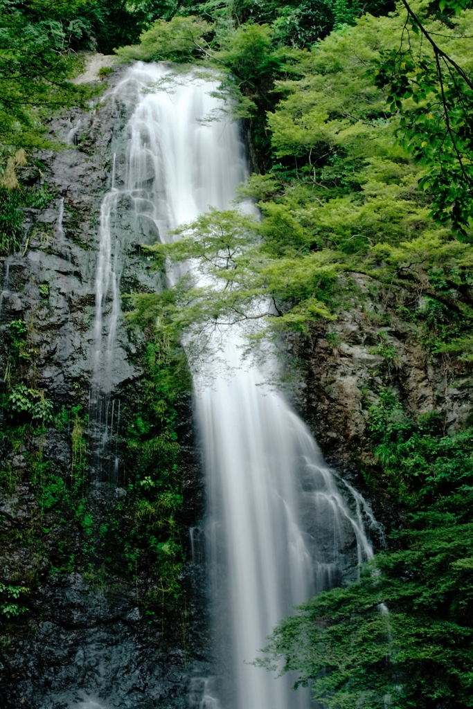 夏の箕面大滝