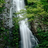 夏の箕面大滝