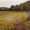 師走の加茂町田園