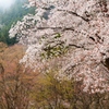 山里の春