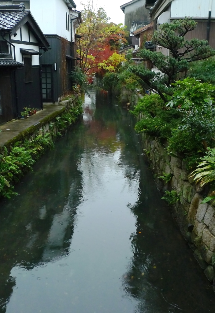 長浜の晩秋雨情