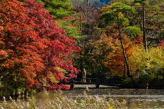 六甲の秋彩