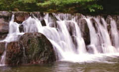 夏の箕面川