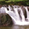 夏の箕面川