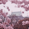 春雨に煙る大阪城