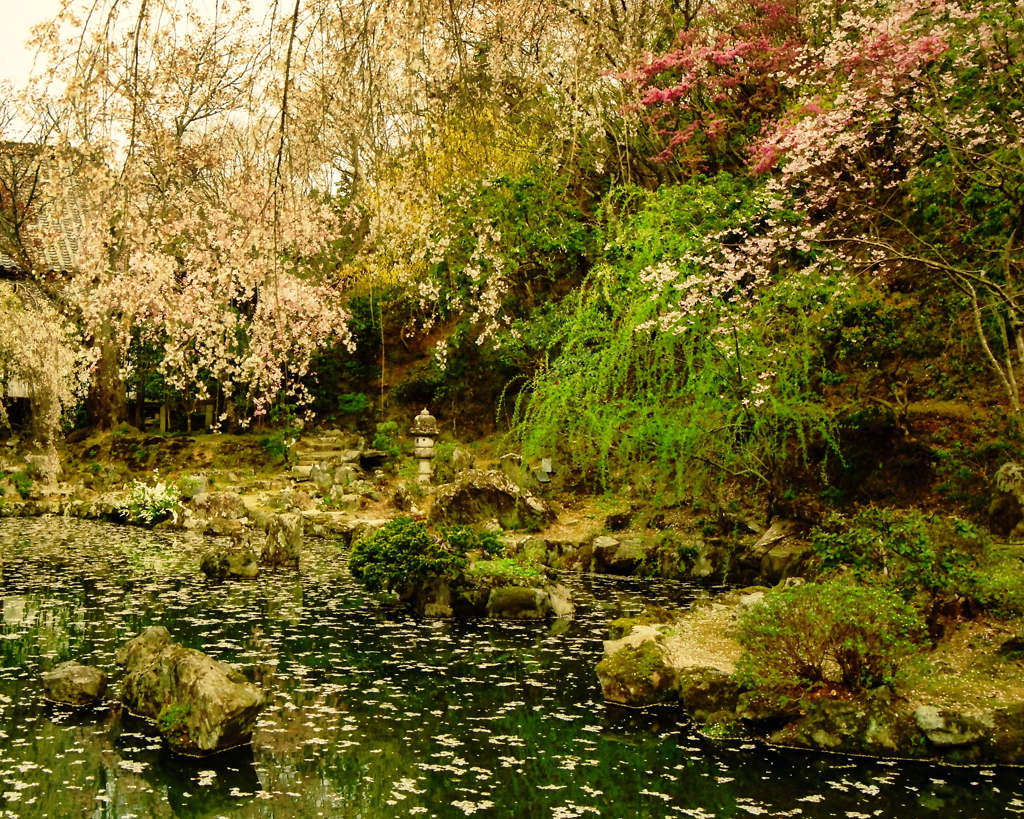 春彩の竹林院
