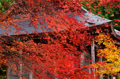 石道寺の秋景