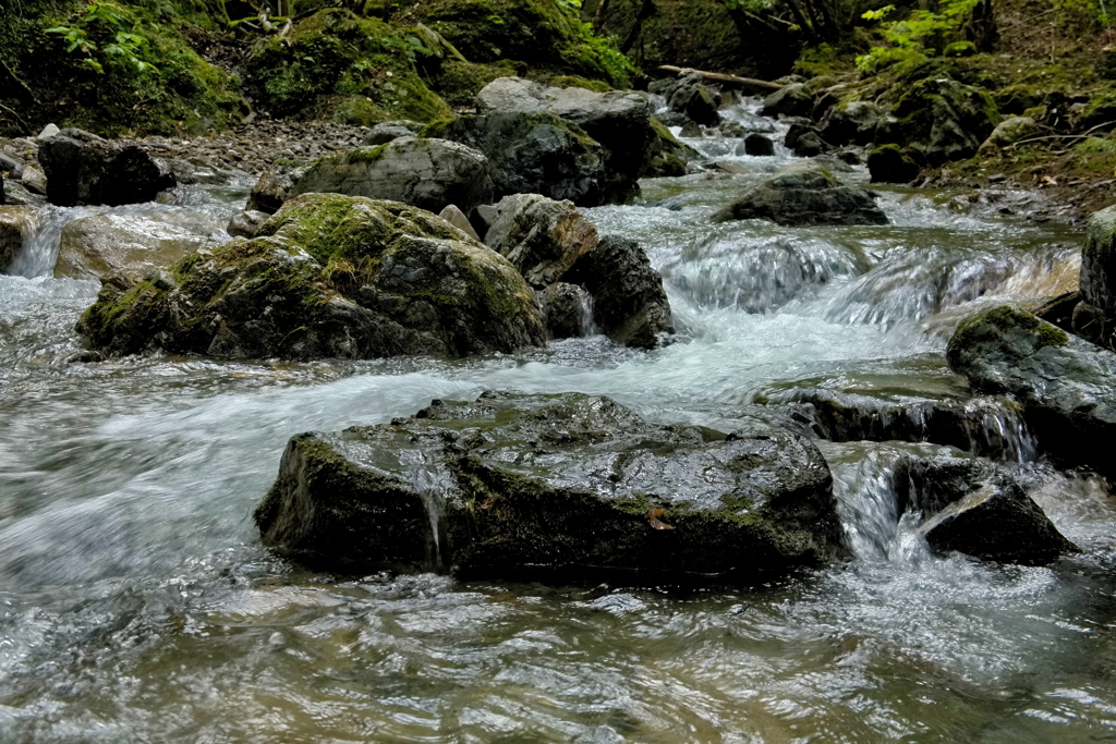 由良川源流の水勢