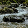 由良川源流の水勢