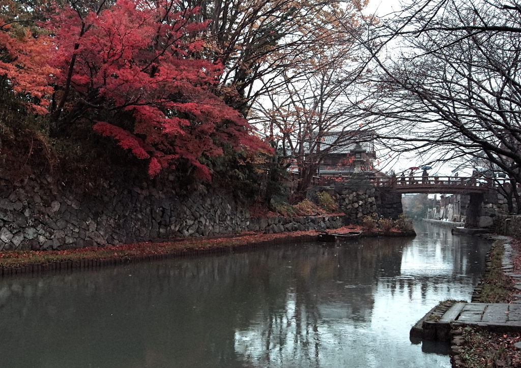 晩秋の八幡堀