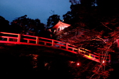 箕面国立公園の夜景