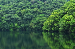 新緑の布引ダム湖