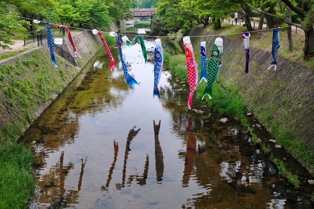 ５月の夙川