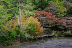 光彩の神戸市立植物園
