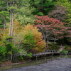 光彩の神戸市立植物園