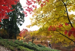 鶏足寺から石道寺への秋景色 