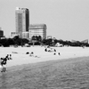 憩いの須磨海浜公園