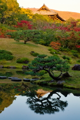 東大寺を臨む秋の依水園