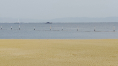 海景（芦屋）