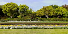 須磨離宮公園の春