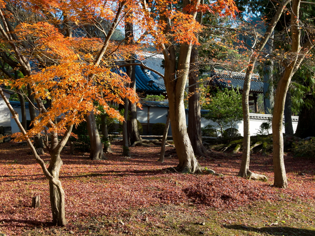 晩秋の南禅寺