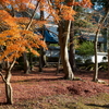 晩秋の南禅寺