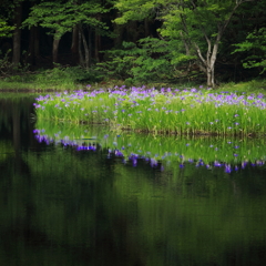 水鏡に咲く青紫