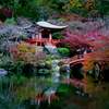 醍醐寺・弁天堂の秋彩