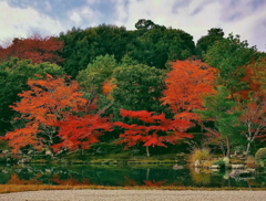 秋の天龍寺