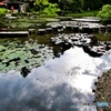 平安神宮神苑の秋陽