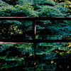 瑠璃光院