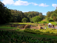 あいな里山公園の秋