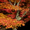 鶏足寺へ続く参道を飾る秋錦